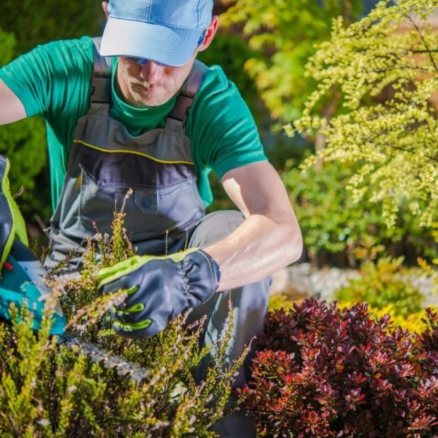 gardener-working-in-a-garden.jpg